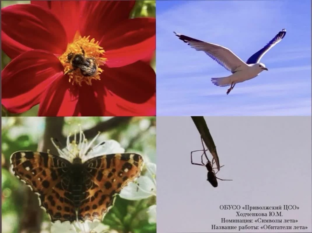 Ходченкова Ю.М..jpg Ходченкова Ю.М..jpg